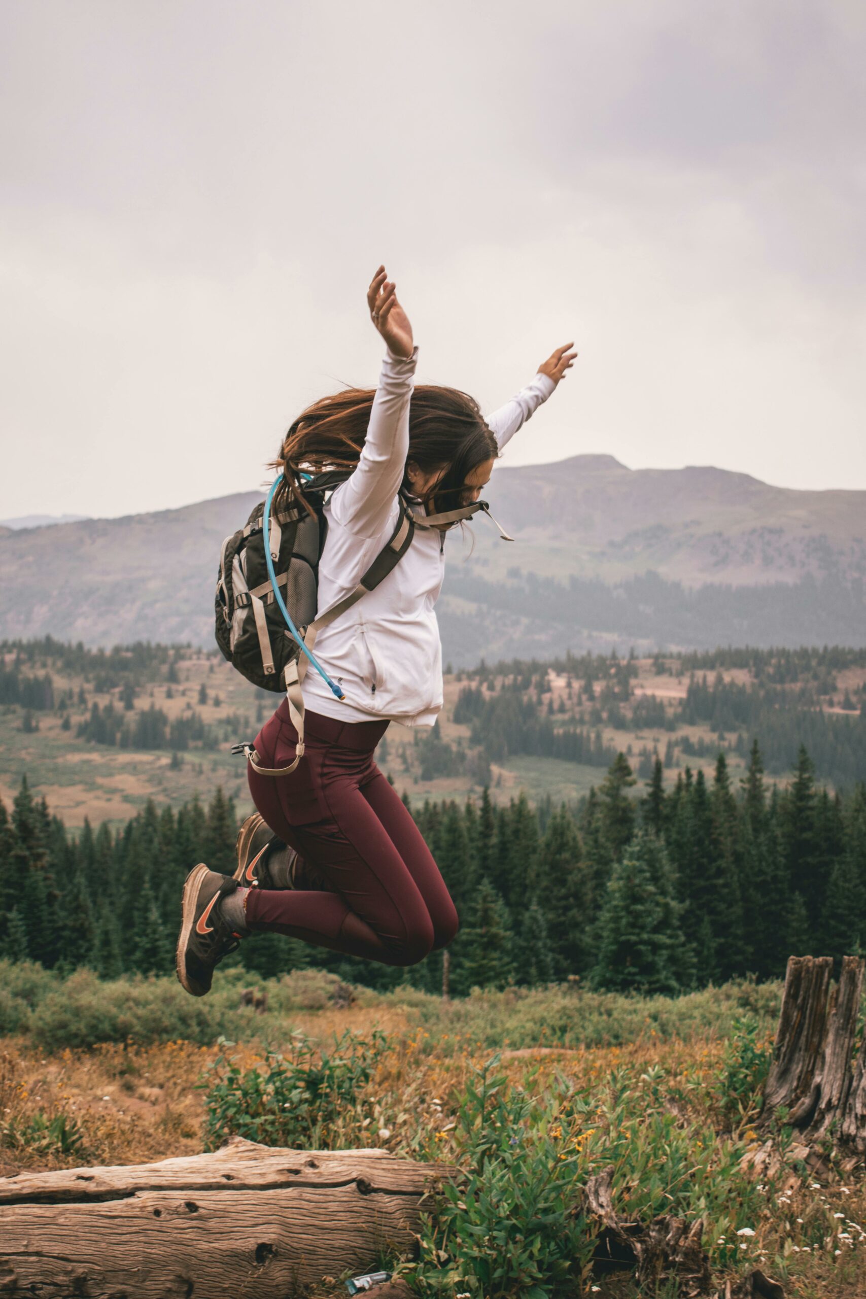 pexels-zachtheshoota-1816225 Vis ma vie de